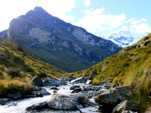 Mt. Earnslaw Burn, Mt. Aspiring National Park