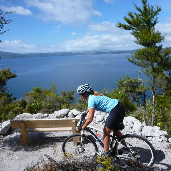 Waihaha to Waihora on the Great Lake Trail