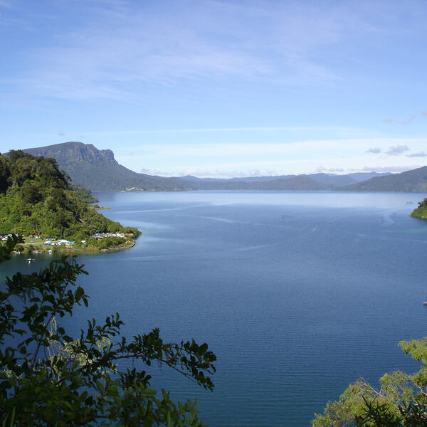 View over Lake Waikaremoana