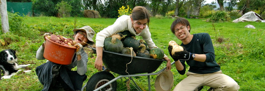 Combine work and fun when you volunteer with WWOOF