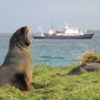 Spirit of Enderby in the Subantarctic Islands