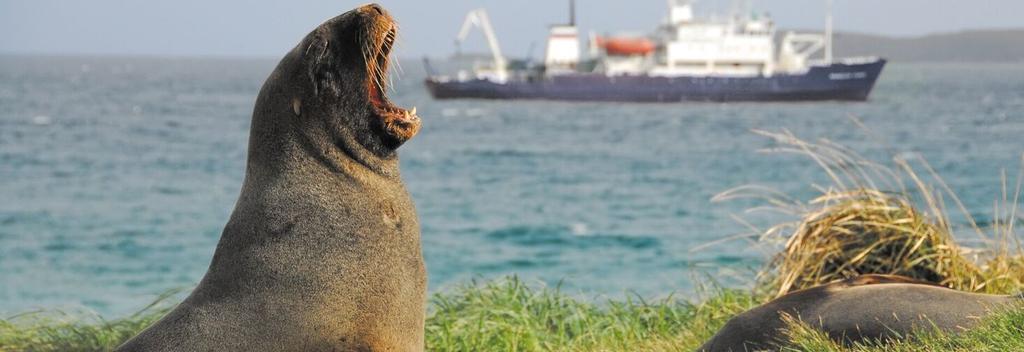 Spirit of Enderby in the Subantarctic Islands