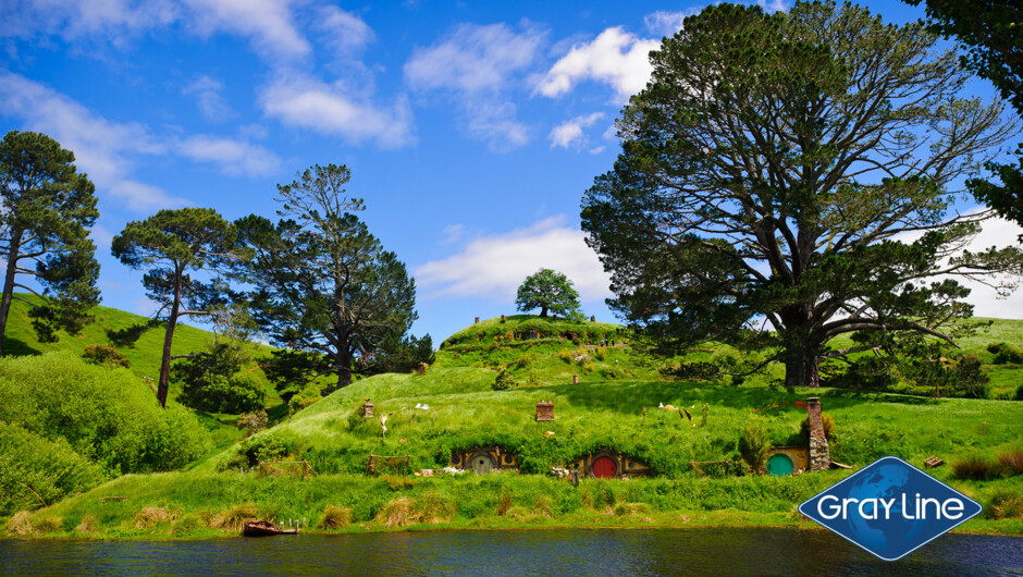 Gray Line Hobbiton and Waitomo day tour - Hobbit holes