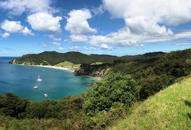 Dive turquoise water, drink wine or simply relax in the wilderness. Find out more about New Zealand's best islands. 