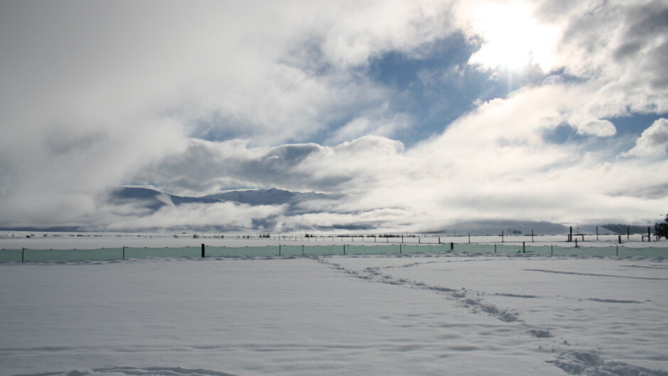 Beautiful winter snow