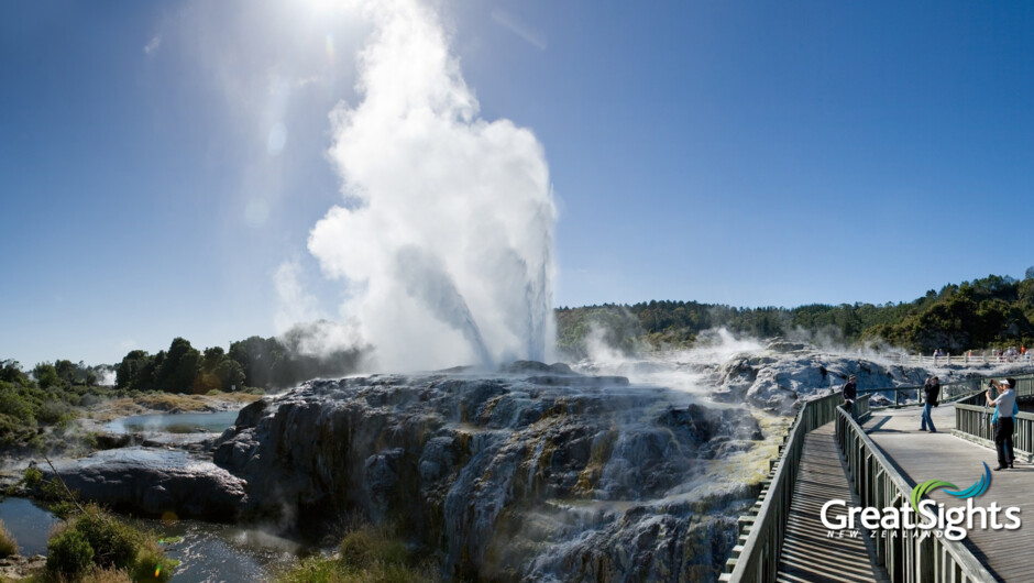 See the impressive Pohutu geyser at Te Puia