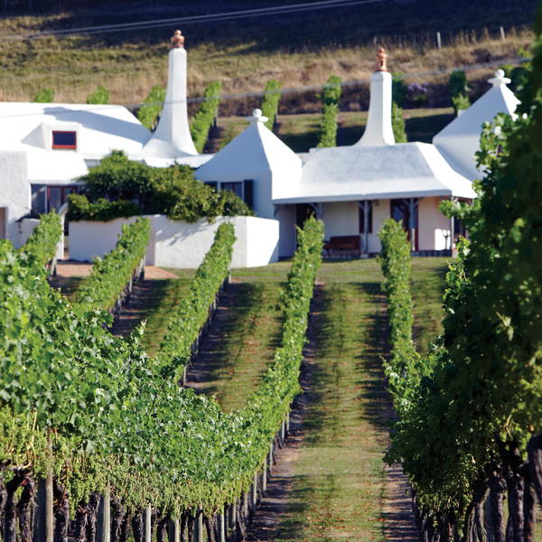 Te Mata Estate, Hawke's Bay