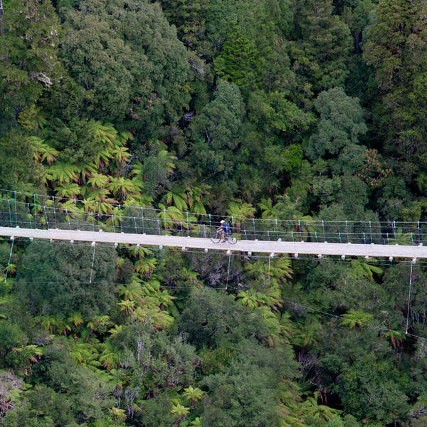 Timber Trail - Waikato