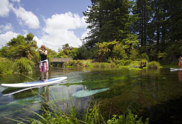 In Hamurana, streamside walk runs through a Redwood grove with beautiful views of the crystal clear stream, that runs out into Lake Rotorua.