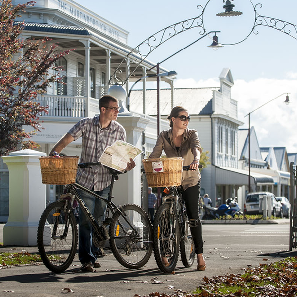 Martinborough near Wellington is known for its wineries