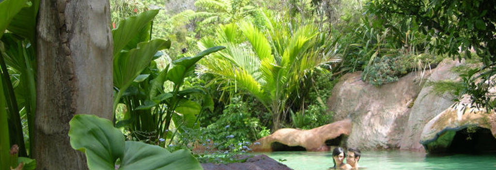 Coromandel's Lost Spring in Whitianga