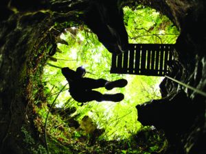 Abseiling down into the pitch black Ruakuri Cave on the Black Abyss tour.