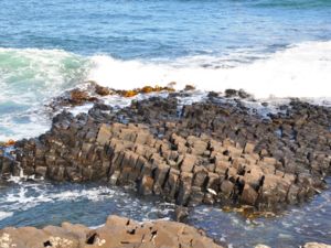 Basalt Columns, Chatham Islands