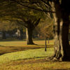 Christchurch Botanic Gardens