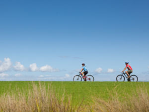 Biking Rail Trail