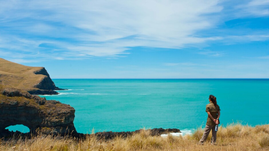 Akaroa head lighthouse scenic reserve