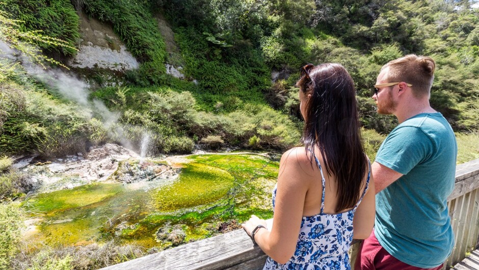 Geothermal attractions, Waimangu Volcanic Valley