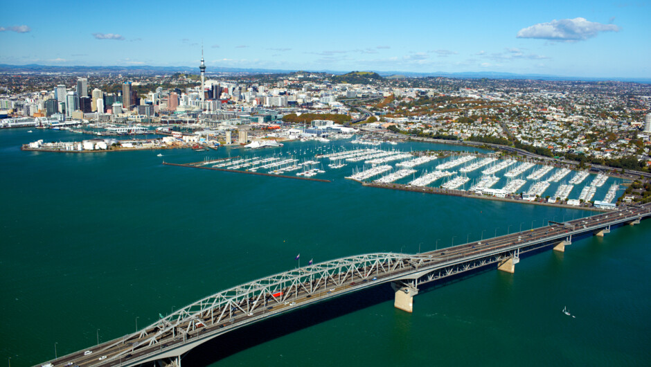 Auckland City