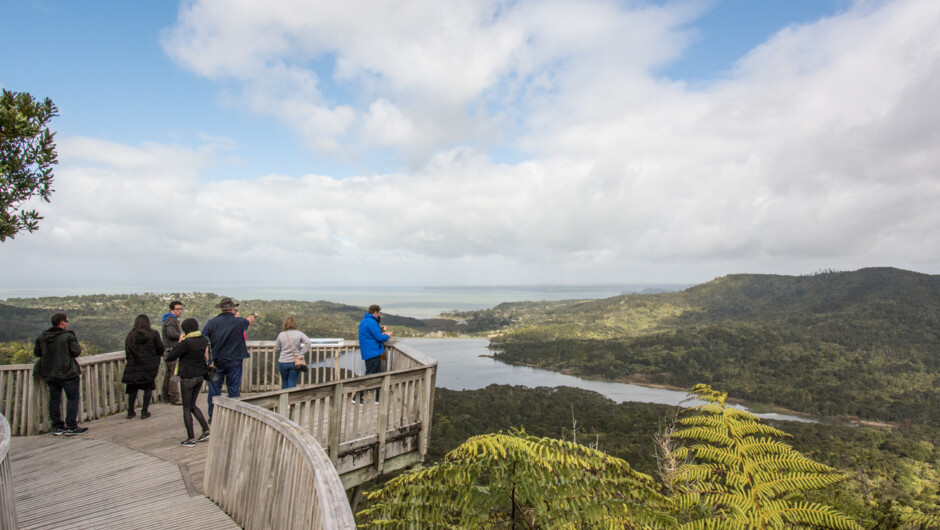 Rainforest views