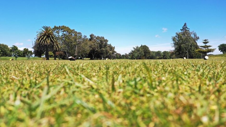 Feilding Golf Club (INC)