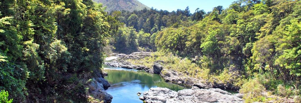 The Pelorus River in Havelock