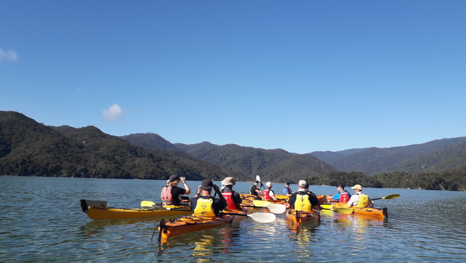 Awaroa Estuary