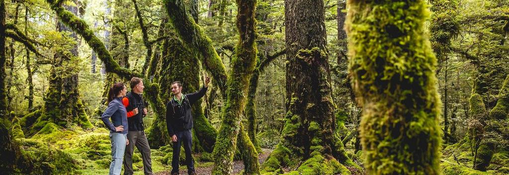 Fiordland Lodge