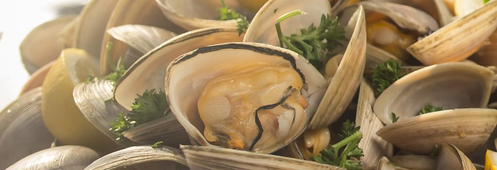 Clams are delicious and provide many natural health benefits