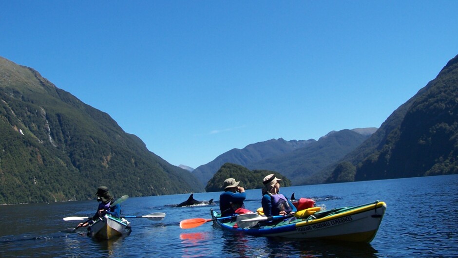 Kayaking in Milford Sound