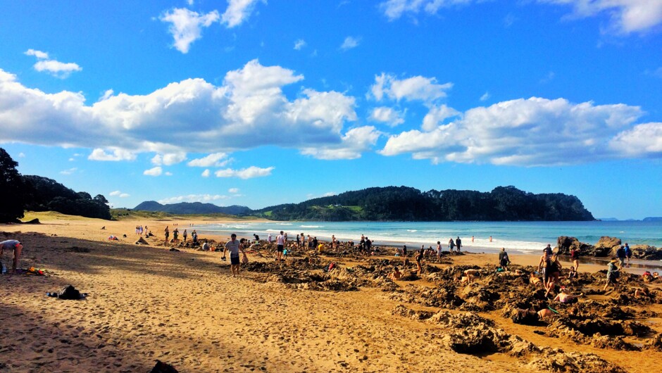 Dig your own hot pool at Hot Water Beach