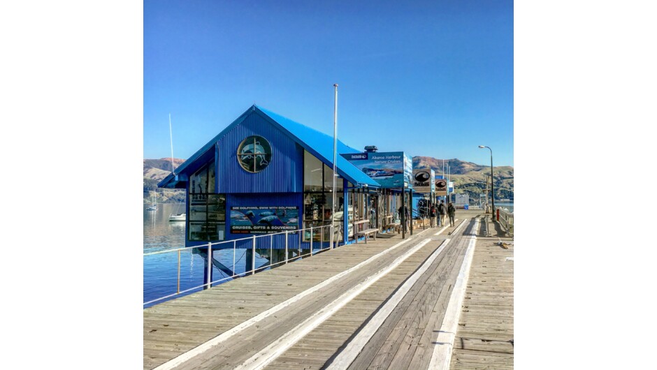 Black Cat Cruises located at Main Wharf, Akaroa