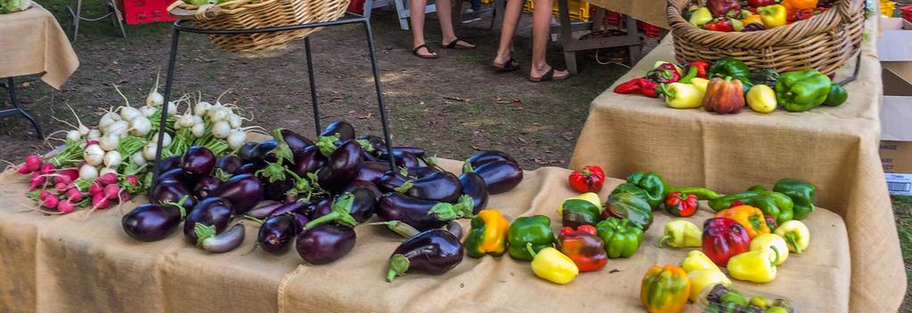 Visting the Hawke's Bay Farmers Market during the Art Deco weekend.