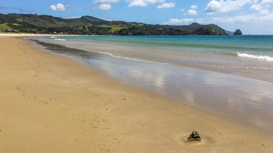 Whangapoua Beach in the Coromandel