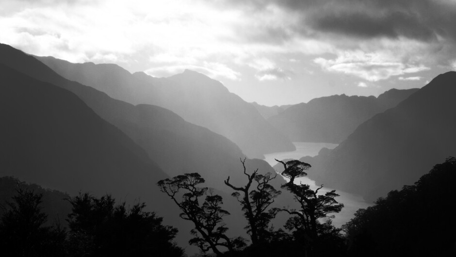 Doubtful Sound