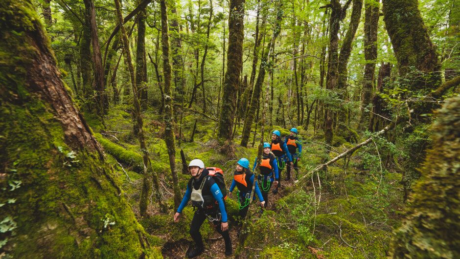 Hiking through Routeburn