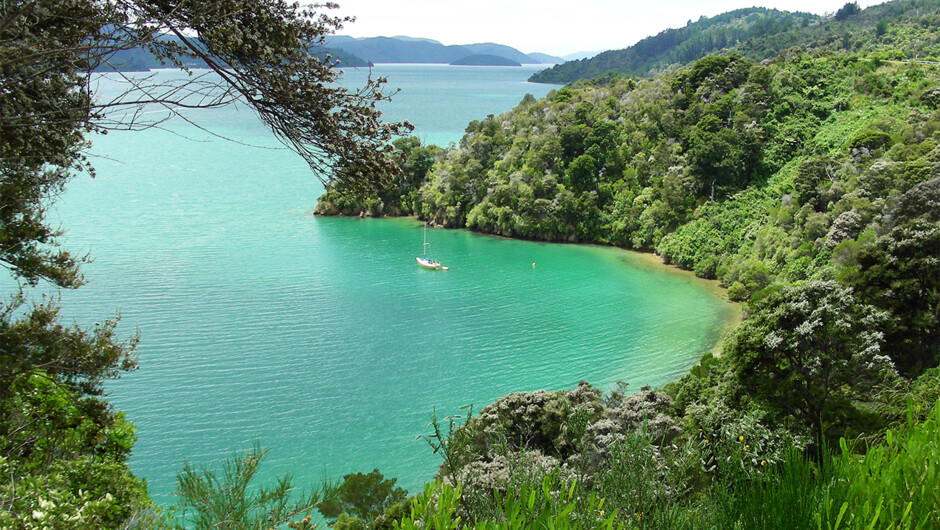 Marlborough Sounds