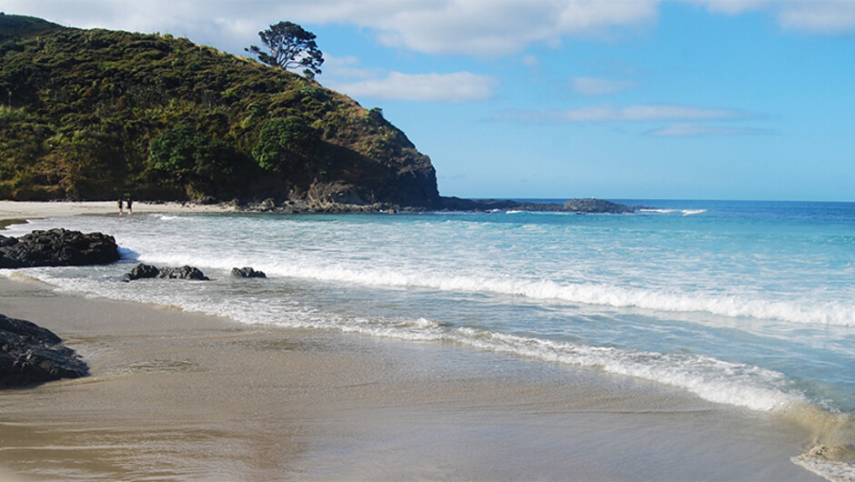 Northland - Tapotupotu Bay