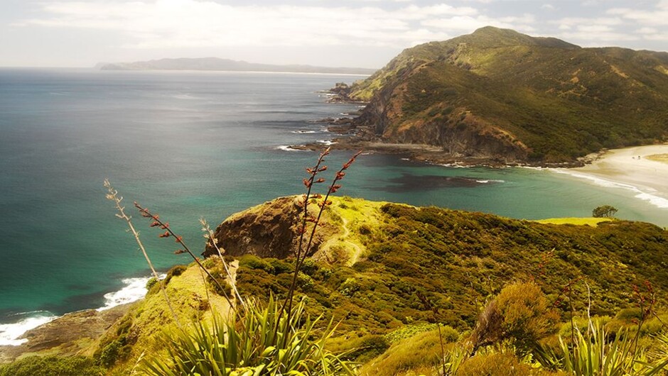 Tapotupotu Bay - Cape Reinga