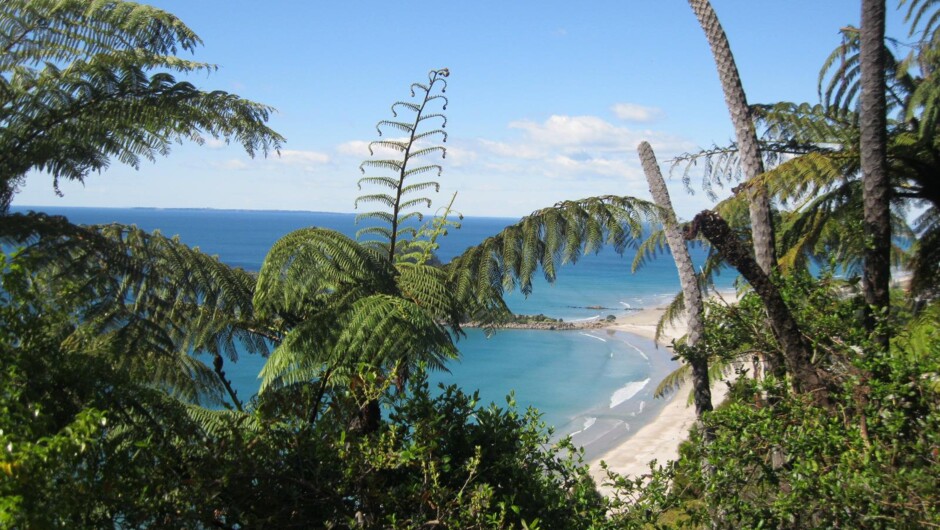 Mount Maunganui