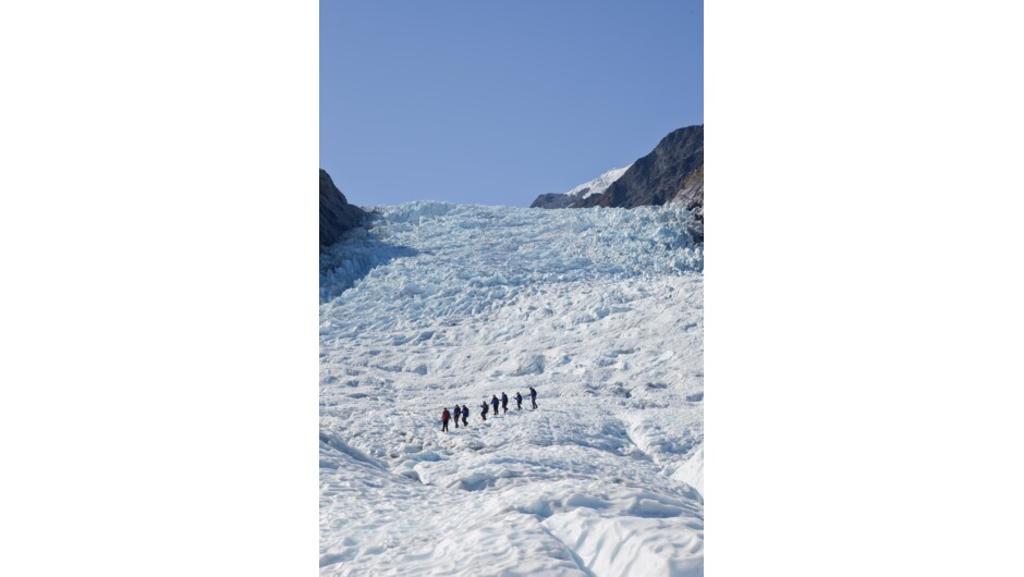 Fox Glacier Guiding