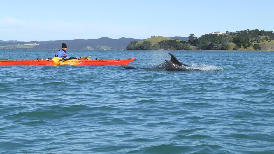 Parua Bay, Whangarei Heads