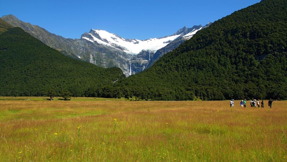 Summer in the Grasslands below Avalanche Glacier