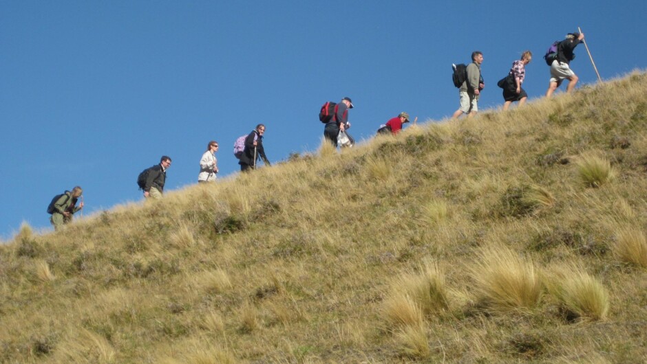 fellowship climbing Edoras!