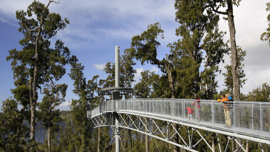 West Coast Tree Top Walk