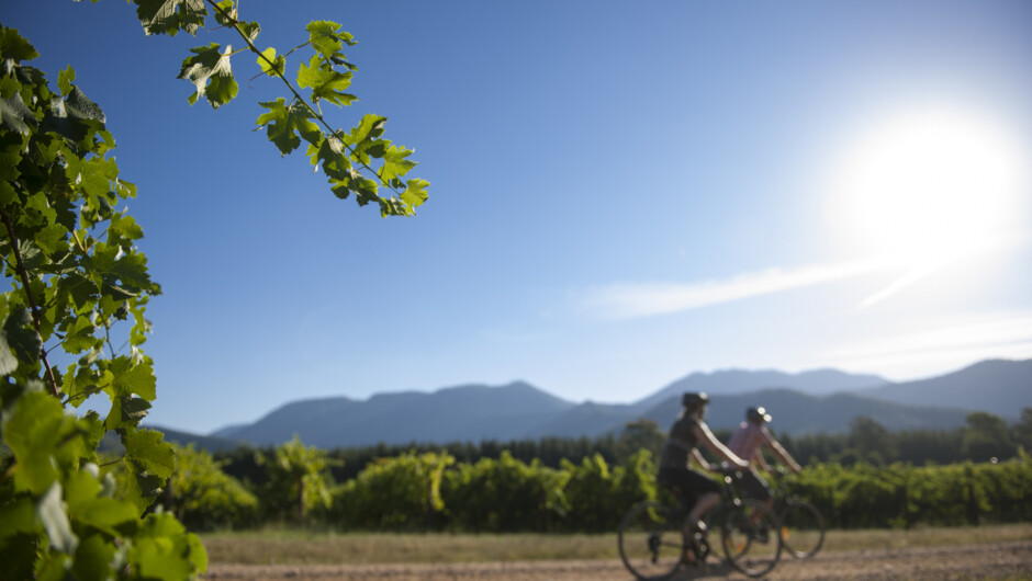 Cycling on off road trails