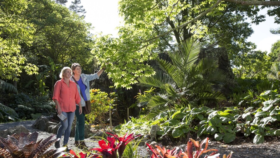 Spring time at Whangārei Quarry Gardens