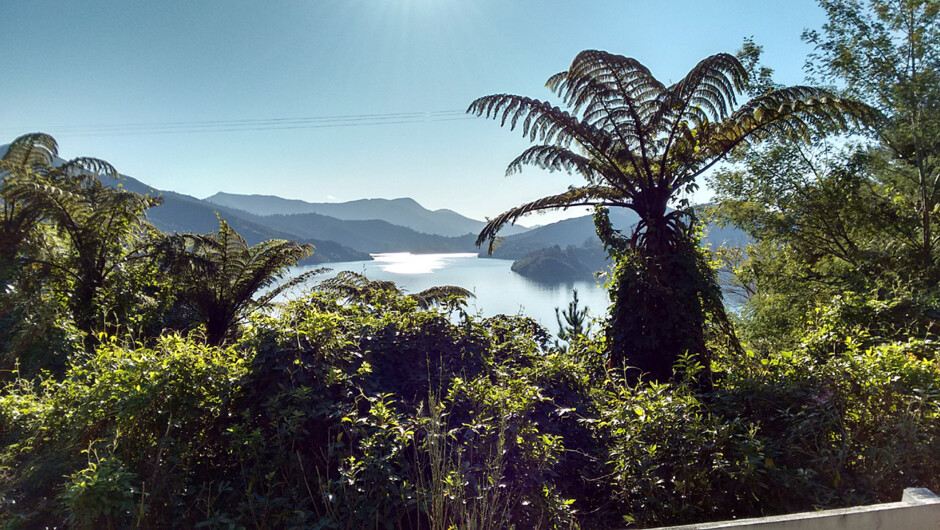 Beautiful Marlborough scenery - Queen Charlotte Drive overlooking the Marlborough Sounds