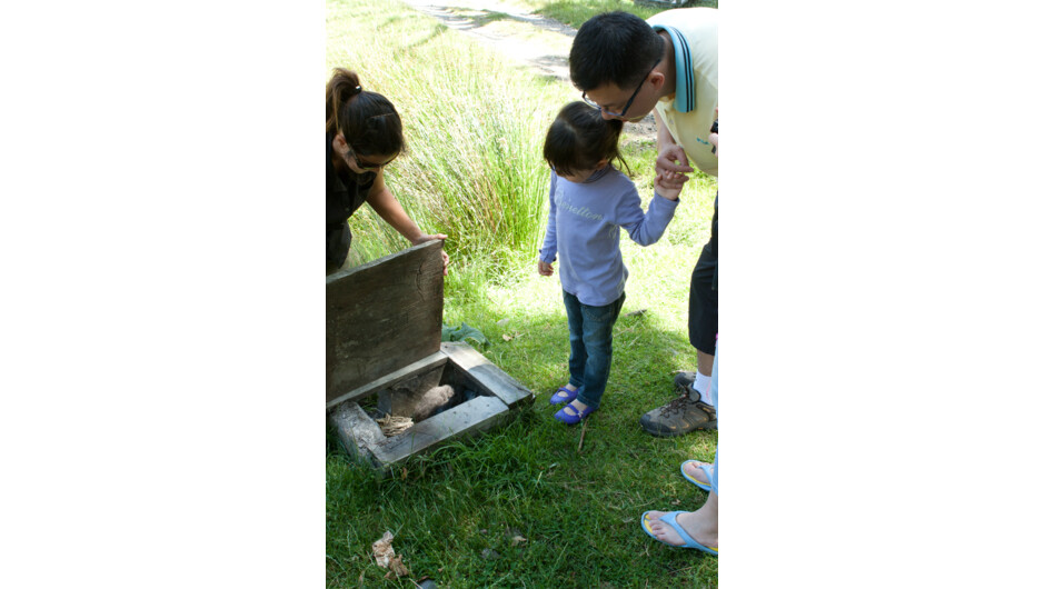 Monitoring of a penguin nesting sites