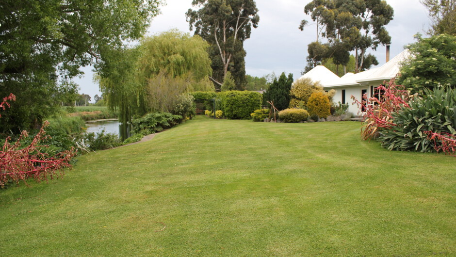 Silverstream alpaca gardens