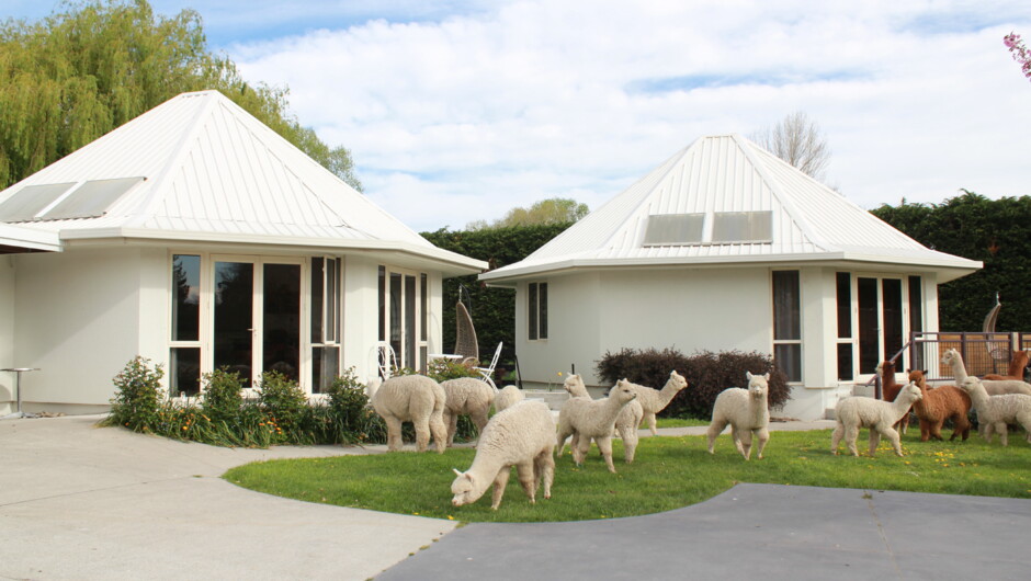 Farmstay cottages